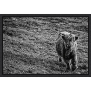 Amanti Art Highland Cow Calf in the Wind by Nathan Larson Canvas Wall Art Print Framed 23 x 16-in. - 1 of 4