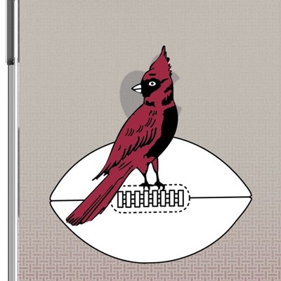 chicago cardinals