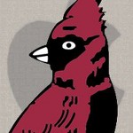 chicago cardinals