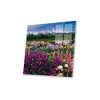 Iris and Lupine Field Grand Teton National Park Print on Acrylic Glass by Adam Jones - iCanvas - 2 of 4
