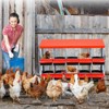Chicken Nesting Box, 8 Hole Chicken Laying Box with Chicken Perch, Heavy Duty Metal Roll Away Nest Box for Chicken Coop Hens - 4 of 4