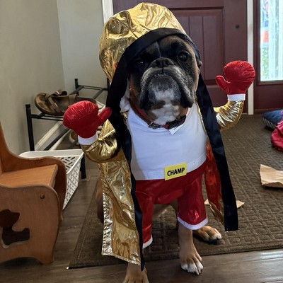 Guest review image 1 of 2, zoom in