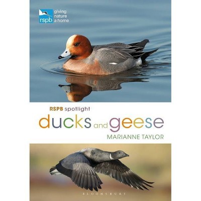 Rspb Spotlight Ducks and Geese - by  Marianne Taylor (Paperback)