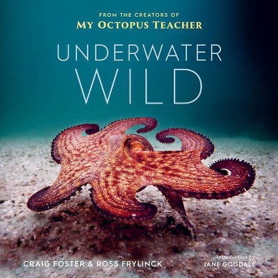 Underwater Wild - by  Craig Foster & Ross Frylinck (Hardcover)