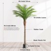 CORE ELECTRO 2-Pack 7ft Tall Artificial Palm Trees in Black Pots – UV-Resistant Faux Tropical Plants for Outdoor Patio & Indoor Decor - 3 of 4