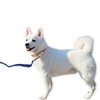 Unique Bargains Training Dog Leash with Foam Handle Leash 19.7ft Blue 1 Pc - 2 of 4