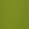 kelp green