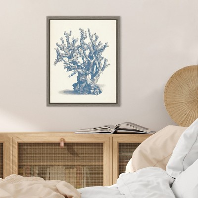 Antique Coral Nautical Lithograph Canvas Print with Greywash Frame