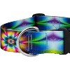 Country Brook Petz 1 1/2 Inch Deluxe Dog Collar - Groovy Collection - 4 of 4