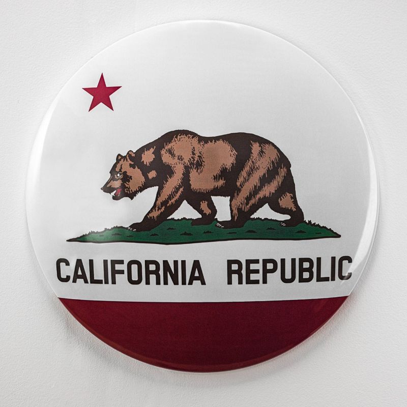 15&#34; x 15&#34; California State Flag Dome Metal Sign White/Red - American Art Decor, 5 of 6
