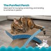 Catstages Scratch N' Rest Cat Agility Toy - Navy Blue - 3 of 4