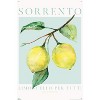 Trends International Reinders: Fruit Market - Limoncello Per Tutti Unframed Wall Poster Prints - 4 of 4