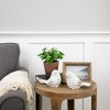 Northlight Real Touch™ Artificial Peperomia Plant in Terracotta Style Pot - 7" - 2 of 4