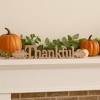 Transpac MDF Thankful Decorative Object Multicolor Fall Harvest Tabletop Sculpture for Autumn Decor and Gift Giving - 3 of 4