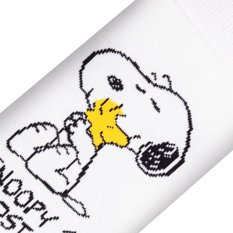 Cool Socks, Snoopy & Woodstock, Funny Novelty Socks, Large, 4 of 6