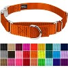 Country Brook Petz Heavyduty Nylon Martingale with Premium Buckle - 3 of 4