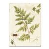 Trademark Fine Art -Lisa Audit 'Ivies and Ferns I' Canvas Art - 2 of 3
