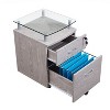 NicBex 2-Drawer Mobile File Cabinet Office Storage Organizer Under Desk Storage for Home, Office - 3 of 4