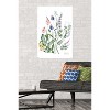 Trends International Botanical Collection - Wild Flowers Unframed Wall Poster Prints - 2 of 4