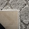 Adriana Shag ARG780 Power Loomed Indoor Rug - Safavieh - 4 of 4
