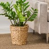 Gulches Water Hyacinth Woven Round 11" Storage and Planter Basket - 2 of 4