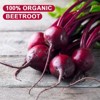 Alliwise Beet Root Powder, Superfood for Healthy Heart, 7.05 oz - 2 of 4