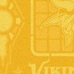 minnesota vikings