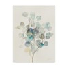 Trademark Fine Art -Danhui Nai 'Eucalyptus III' Canvas Art - 2 of 3