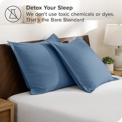 Coronet Blue Hypoallergenic Euro Pillow Sham Set