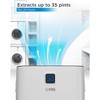 COMMERCIAL COOL Portable Dehumidifier for Home, Kitchen, Basement - 2 of 4