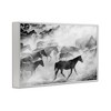 Stupell Industries Dusty Road Horse Photograph Framed Giclee Art - 2 of 4