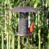 Good Directions Steel Rainy Day Umbrella Inspired Durable Mesh Tube Novelty Bird Feeder 16" - 3 of 4
