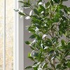 TopComfy Artificial Trees 180cm Artificial Laurel Tree Tall Laurel Tree Fake Laurel Plant Artificial Laurel Tree for Indoor, Green, 29"*25"*71" - 3 of 4