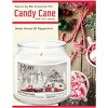 Courtside Market Merry Camper Candy Cane 12.8oz Soy Wax Candle Glass Jar with Brushed Silver Metal Lid - 3 of 3
