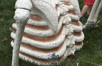 Guest review image 2 of 2, zoom in