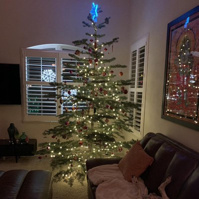 Guest review image 1 of 2, zoom in