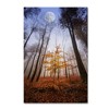 Trademark Fine Art -Philippe Sainte-Laudy 'Sentinel' Canvas Art - 2 of 3