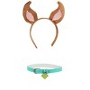 HalloweenCostumes.com One Size Fits Most   Scooby Doo Costume Kit,  Dog Collar & Dog Tag labeled with "SD", Pink/Brown/Green - 2 of 4
