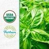Back to the Roots Organic Sweet Basil Wellness Planter Grow Kit with Pot Soil and Seeds - 4 of 4