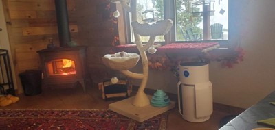 Guest review image 1 of 1, zoom in