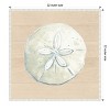 Amanti Art Sand Dollar On Wood Background by Patricia Pinto Canvas Wall Art Print Framed 22 x 22-in. - 4 of 4