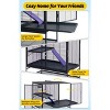 Metal Small Animal Cage,34/36/39/64 ''H Multi-Level Ferret Cage for Small Animals - Large Hamster Cage with Ramp - 3 of 4