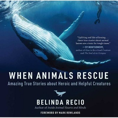 When Animals Rescue - by  Belinda Recio (Hardcover)