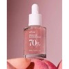 Anua Peach 70 + Niacin Serum (1.01 oz) Reveal Your Peachy Glow | Face Skin Appears Smoother & More Supple - 4 of 4