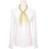 INSPIRE CHIC Women's Pleated Chiffon Contrast Color Trim Semi Sheer Stretchy Gauze Neck Scarves 1Pc - 2 of 4