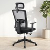 High Back Ergonomic Office Chair, Adjustable Lumbar Support and Headrest - 2 of 4