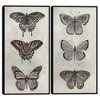 Masterpiece Art Gallery 17"x34" Antique Butterflies I and II Wall Art - 2 of 4