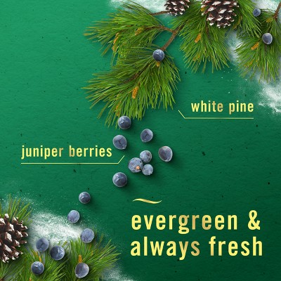 Febreze Small Spaces Air Freshener - White Pine & Juniper Berry - 0.5 fl oz/2ct, 4 of 14