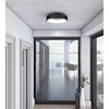 Artcraft Lighting Lazio 1 - Light Flush Mount in  Black - 3 of 4