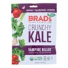 Brad's Raw Crunchy Kale Vampire Killer - Case of 12/2 oz - 2 of 4